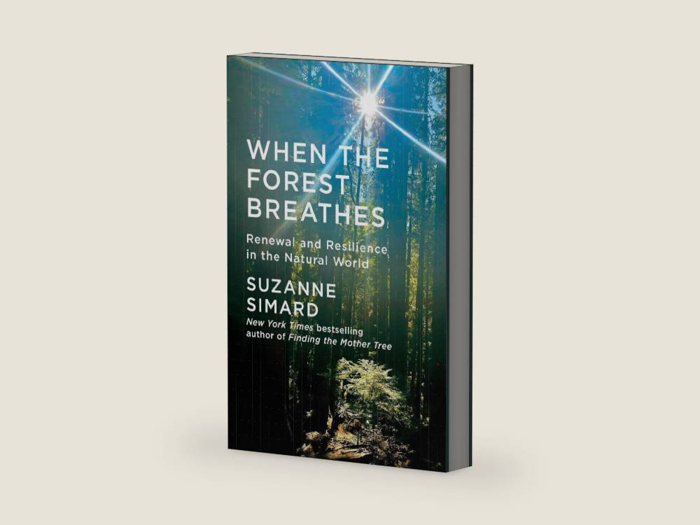 When the Forest Breathes: Renewal and Resilience in the Natural World by Suzanne Simard | barcode:9780593318683 | source:'9780593318683-right-three-quarter.jpg