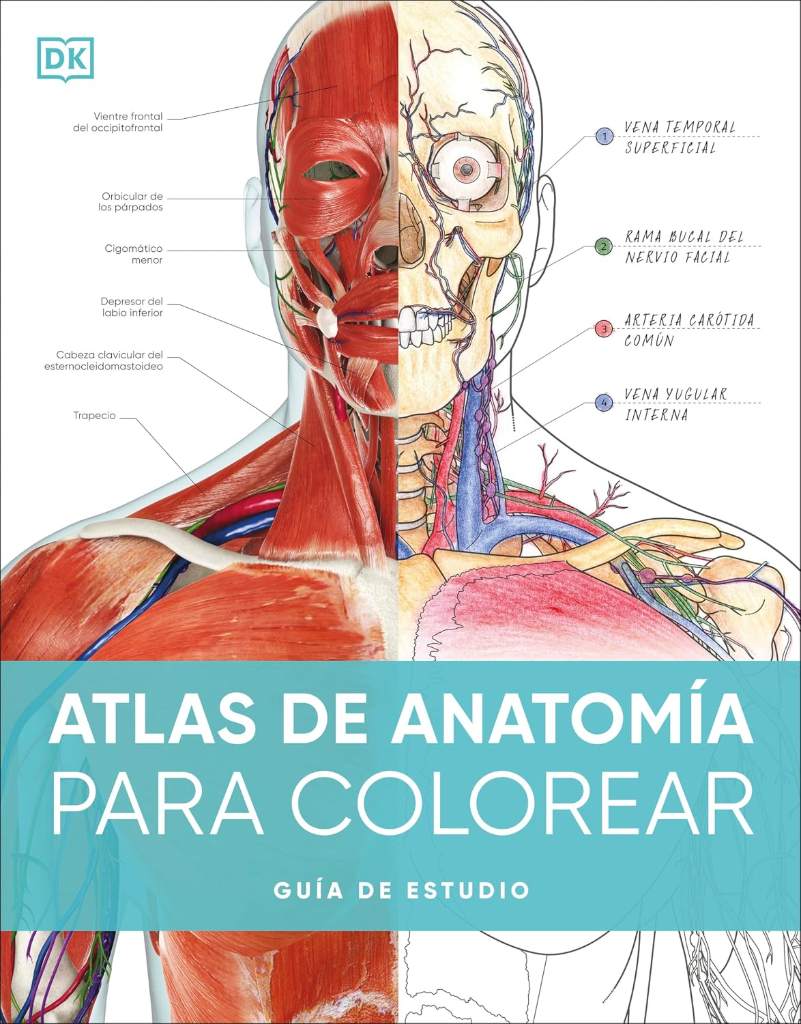 Atlas de anatomía para colorear (The Human Body Coloring Book): Guía de estudio (Spanish Edition) by DK | barcode:9780593848098 | source:'9780593848098.jpg