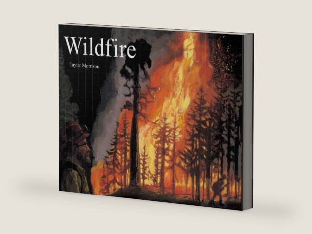 Wildfire by Taylor Morrison | barcode:9780618509003 | source:'9780618509003-right-three-quarter.jpg