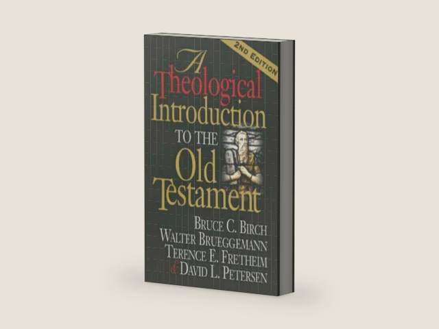 A Theological Introduction to the Old Testament: 2nd Edition by Bruce C. Birch | barcode:9780687066766 | source:'9780687066766-right-three-quarter.jpg