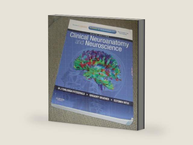 Clinical Neuroanatomy and Neuroscience: With Student Consult Access by Estomih Mtui MD | barcode:9780702037382 | source:'9780702037382-right-three-quarter.jpg