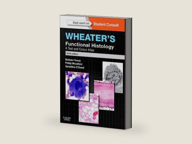 Wheater's Functional Histology: A Text and Colour Atlas by Barbara Young BSc Med Sci (Hons) PhD MB BChir MRCP FRCPA | barcode:9780702047473 | source:'9780702047473-right-three-quarter.jpg