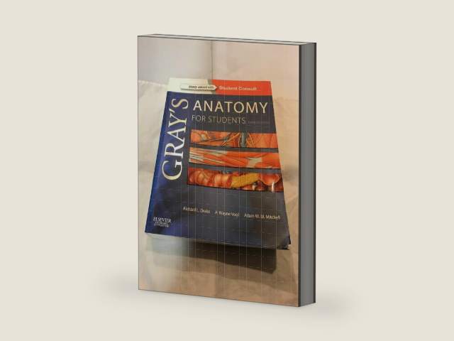 Gray's Anatomy for Students: With Student Consult Online Access by Richard L. Drake PhD | barcode:9780702051319 | source:'9780702051319-right-three-quarter.jpg