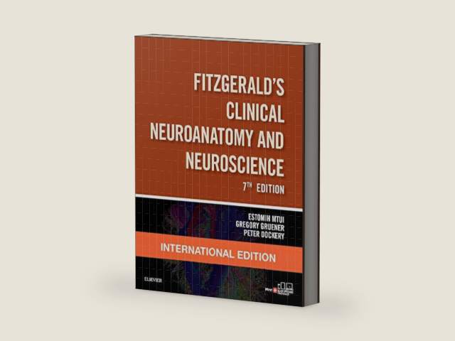 Fitzgerald's Clinical Neuroanatomy and Neuroscience by FitzGerald | barcode:9780702067273 | source:'9780702067273-right-three-quarter.jpg