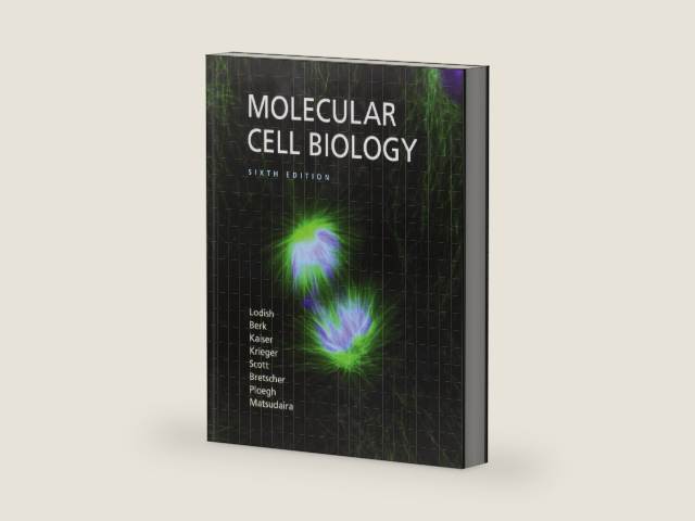 Molecular Cell Biology by Harvey Lodish | barcode:9780716776017 | source:'9780716776017-right-three-quarter.jpg
