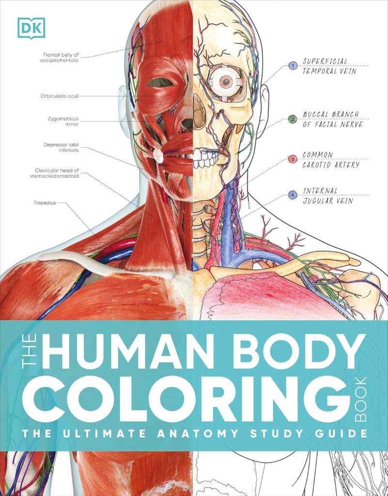 The Human Body Coloring Book: The Ultimate Anatomy Study Guide, Second Edition (DK Human Body Guides) by DK | barcode:9780744098679 | source:'9780744098679.jpg