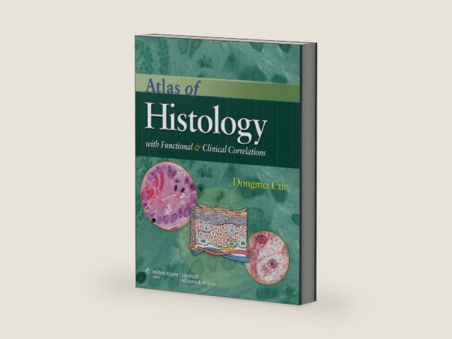 Atlas of Histology with Functional and Clinical Correlations by Dongmei Cui MD (hon) PhD | barcode:9780781797597 | source:'9780781797597-right-three-quarter.jpg