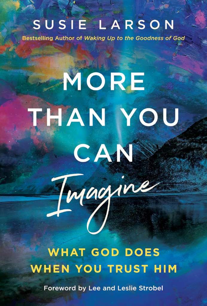 More Than You Can Imagine: What God Does When You Trust Him by Susie Larson | barcode:9780785294689 | source:'9780785294689.jpg