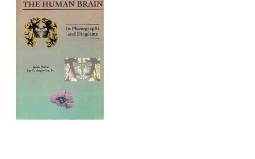 Human Brain in Photogs & Diagrams by john-nolte-phd-jay-b-angevine-jr-phd - 9780801681257
