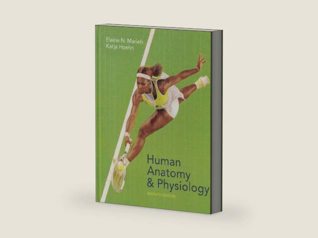 Human Anatomy And Physiology by Elaine Nicpon Marieb | barcode:9780805359107 | source:'9780805359107-right-three-quarter.jpg