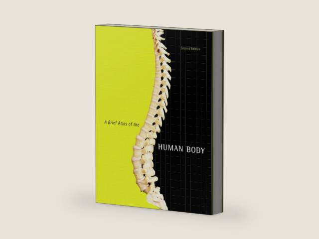 A Brief Atlas of the Human Body by Matt Hutchinson | barcode:9780805373738 | source:'9780805373738-right-three-quarter.jpg
