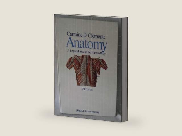 Anatomy, a regional atlas of the human body by Carmine D. Clemente | barcode:9780806703237 | source:'9780806703237-right-three-quarter.jpg