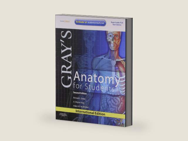 Gray's Anatomy for Students by Richard L. Drake | barcode:9780808924067 | source:'9780808924067-right-three-quarter.jpg