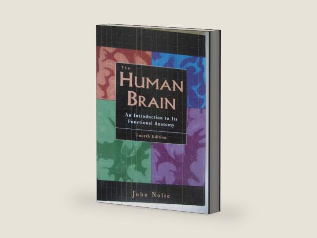 The Human Brain: An Introduction to Its Functional Anatomy by John Nolte | barcode:9780815189114 | source:'9780815189114-right-three-quarter.jpg