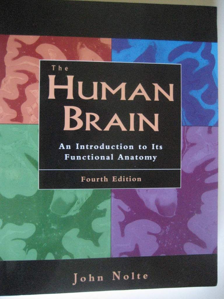 The Human Brain: An Introduction to Its Functional Anatomy by John Nolte - 9780815189114