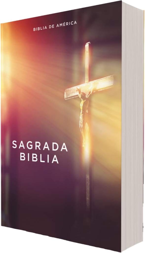 Biblia Católica, Edición Económica, Tapa Rústica, Comfort Print (Spanish Edition) by Editorial Católica | barcode:9780829772302 | source:'9780829772302.jpg