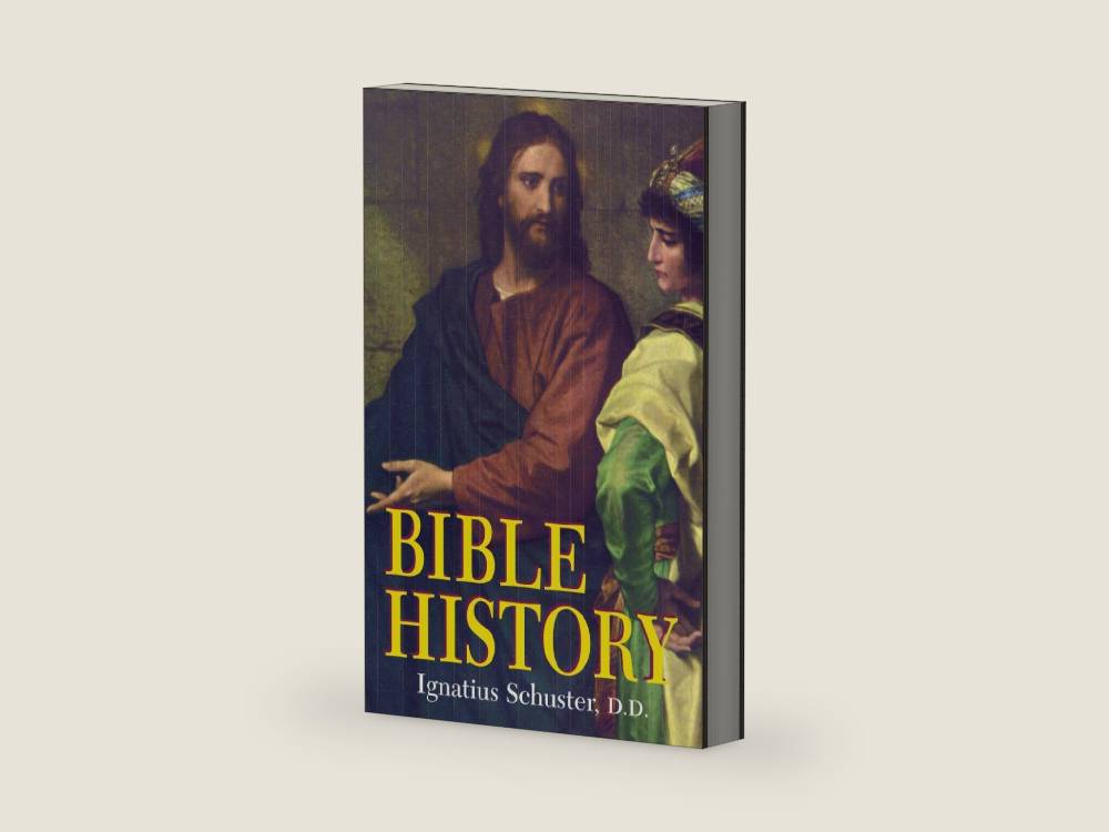 Bible History: Of the Old and New Testaments by Ignatius Schuster D.D. | barcode:9780895550064 | source:'9780895550064-right-three-quarter.jpg