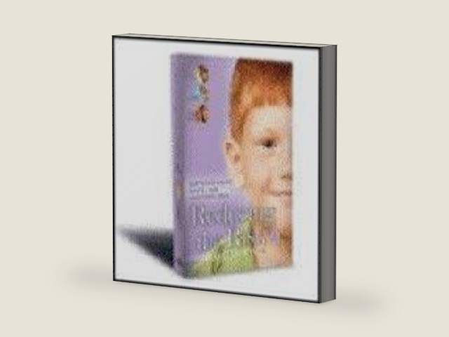 Reducing the Risk-3rd Edition-Leader's Guide-Keeping Your Ministry Safe from Child Sexual Abuse by unknown author | barcode:9780917463402 | source:'9780917463402-right-three-quarter.jpg