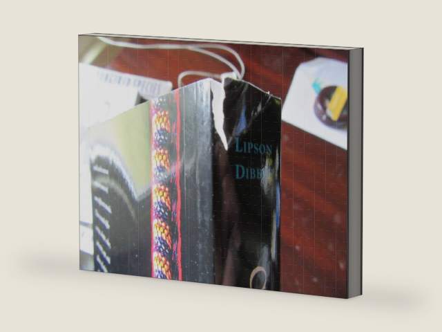 Culture & Clinical Care by Juliene G. Lipson | barcode:9780943671222 | source:'9780943671222-right-three-quarter.jpg