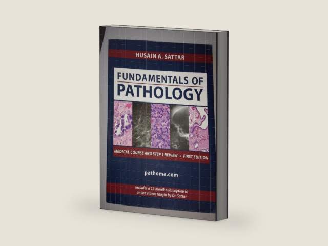 Fundamentals of Pathology by Husain A. Sattar | barcode:9780983224600 | source:'9780983224600-right-three-quarter.jpg
