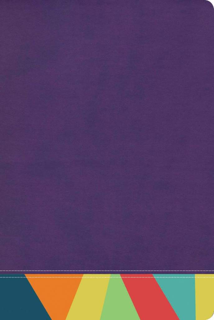 Reina Valera 1960 Biblia de Estudio Arcoíris, morado/multicolor | RVR 1960 Rainbow Study Bible Purple/multicolor LeatherTouch (Spanish Edition) by B&H Español Editorial Staff | barcode:9781087706054 | source:'9781087706054.jpg