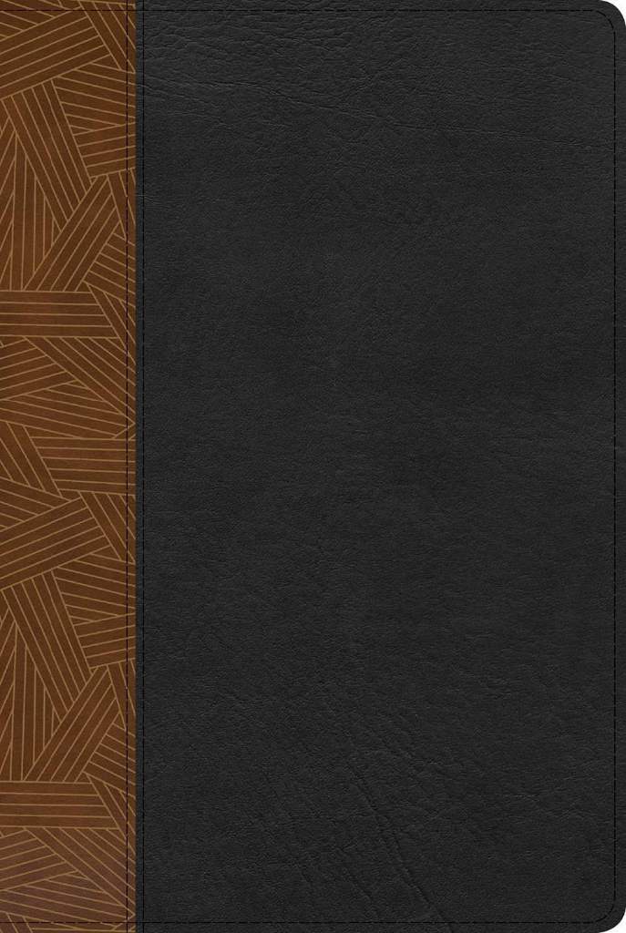 Reina Valera 1960 Biblia de Estudio Arcoíris, tostado/negro símil piel con índice | RVR 1960 Rainbow Study Bible, Tan/black LeatherTouch, Indexed (Spanish Edition) by B&H Español Editorial Staff | barcode:9781087706078 | source:'9781087706078.jpg
