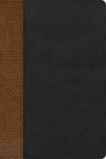 Reina Valera 1960 Biblia de Estudio Arcoíris, tostado/negro símil piel con índice | RVR 1960 Rainbow Study Bible, Tan/black LeatherTouch, Indexed (Spanish Edition) by B&H Español Editorial Staff | barcode:9781087706078 | source:'9781087706078.jpg