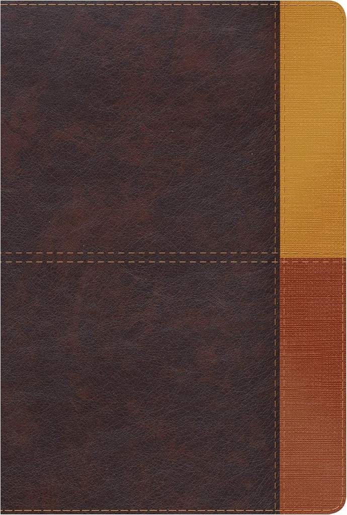 Reina Valera 1960 Biblia de Estudio Arcoíris, cocoa/ terracota símil piel con índice | RVR 1960 Rainbow Study Bible, cocoa/terracotta LeatherTouch Indexed (Spanish Edition) by B&H Español Editorial Staff | barcode:9781087738765 | source:'9781087738765.jpg