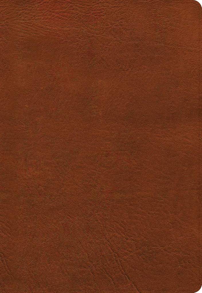 NASB Super Giant Print Reference Bible, Burnt Sienna LeatherTouch by Holman Bible Publishers | barcode:9781087756301 | source:'9781087756301.jpg