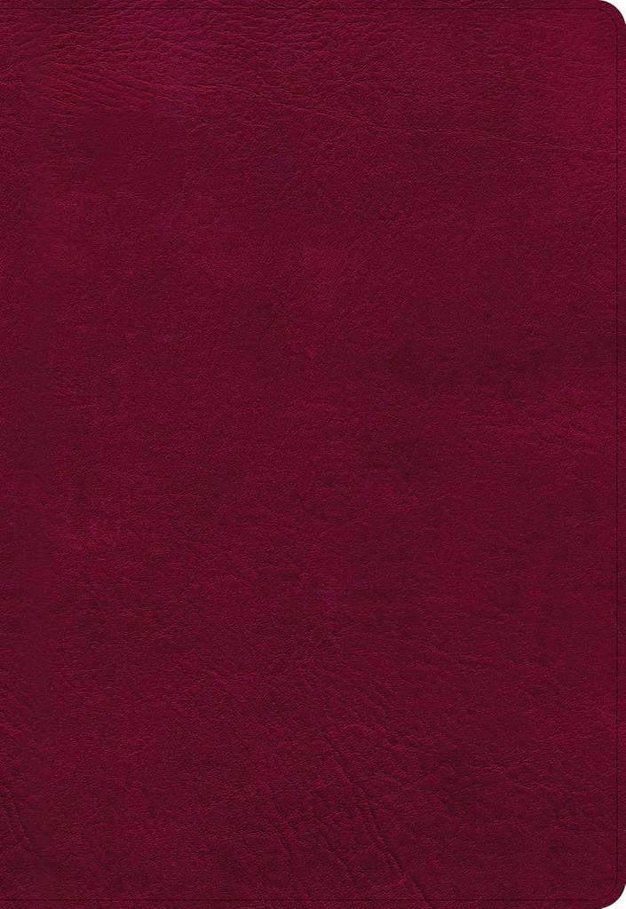 NASB Super Giant Print Reference Bible, Burgundy LeatherTouch, Indexed by Holman Bible Publishers | barcode:9781087757629 | source:'9781087757629.jpg