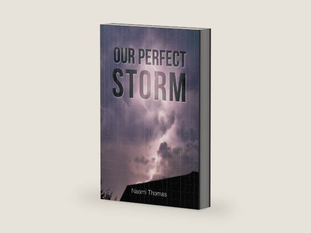Our Perfect Storm by Naomi Thomas | barcode:9781098091637 | source:'9781098091637-right-three-quarter.jpg
