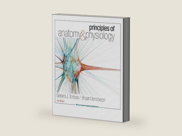 Principles of Anatomy & Physiology 14th edition by Gerard J Tortora/ Bryan Derrickson | barcode:9781118958070 | source:'9781118958070-right-three-quarter.jpg