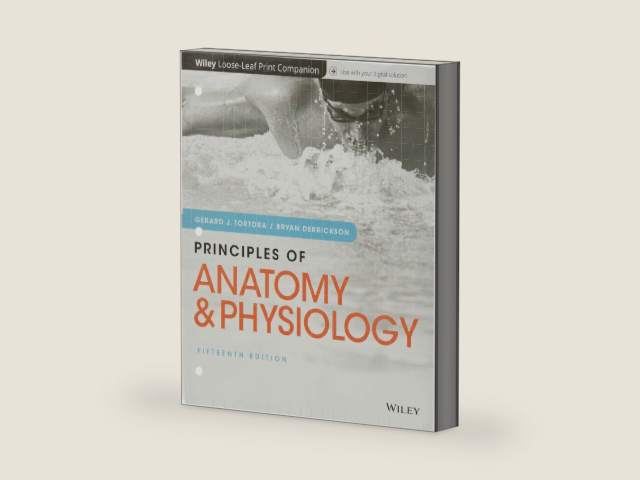 Principles of Anatomy and Physiology by Gerard J. Tortora | barcode:9781119444459 | source:'9781119444459-right-three-quarter.jpg