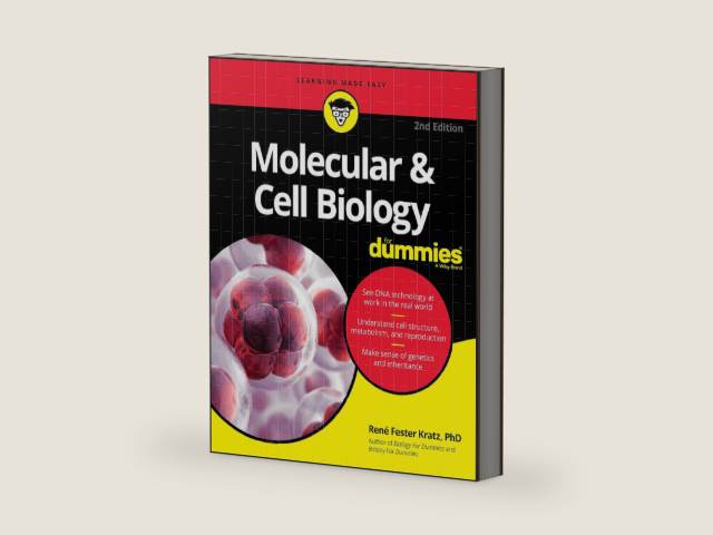 Molecular & Cell Biology For Dummies, 2nd Edition by Rene Fester Kratz | barcode:9781119620402 | source:'9781119620402-right-three-quarter.jpg