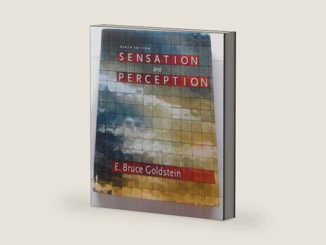 Sensation and Perception by E. Bruce Goldstein | barcode:9781133958499 | source:'9781133958499-right-three-quarter.jpg
