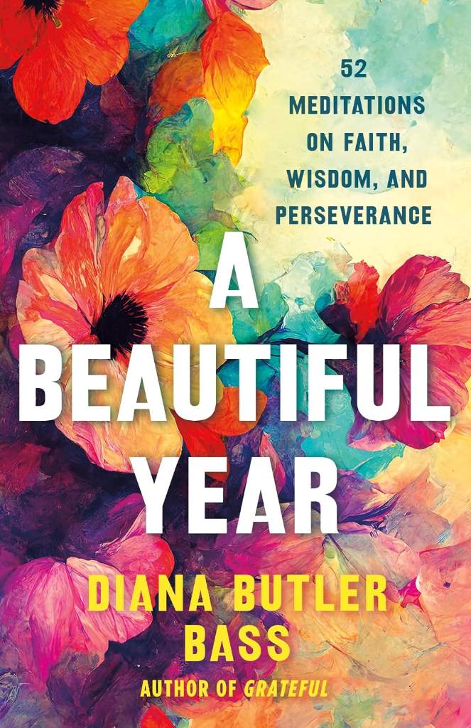 A Beautiful Year: 52 Meditations on Faith, Wisdom, and Perseverance by Diana Butler Bass | barcode:9781250409881 | source:'9781250409881.jpg