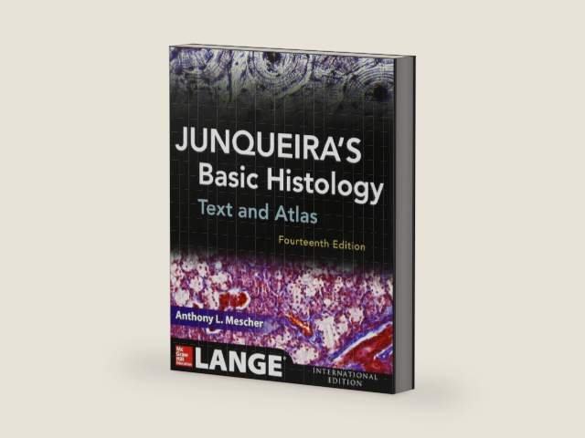 Junqueira's Basic Histology: Text and Atlas by Anthony Mescher | barcode:9781259250989 | source:'9781259250989-right-three-quarter.jpg