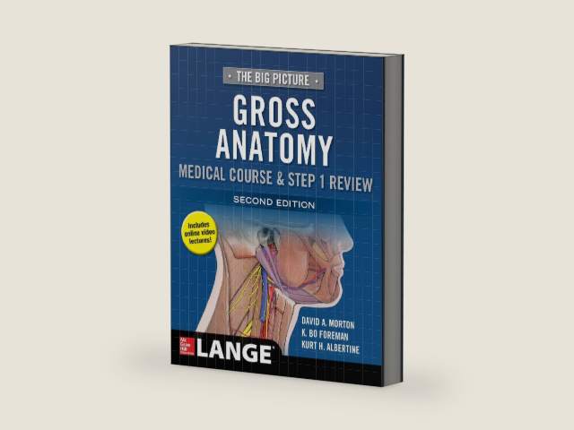 The Big Picture: Gross Anatomy, Medical Course & Step 1 Review, Second Edition by David A. Morton | barcode:9781259862632 | source:'9781259862632-right-three-quarter.jpg
