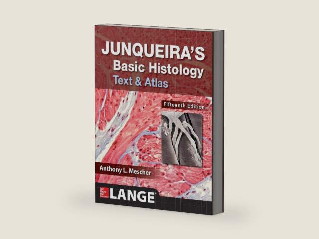 Junqueira's Basic Histology: Text and Atlas, Fifteenth Edition by Anthony Mescher | barcode:9781260026184 | source:'9781260026184-right-three-quarter.jpg