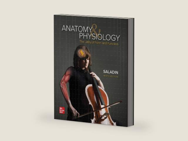 Anatomy & Physiology: The Unity of Form and Function by Kenneth S. Saladin | barcode:9781260256000 | source:'9781260256000-right-three-quarter.jpg