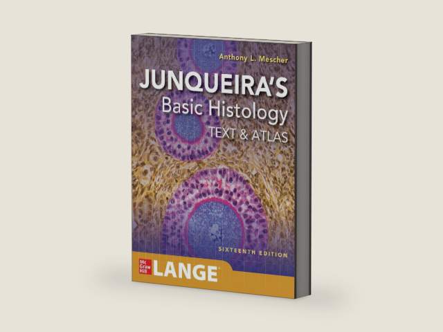 Junqueira's Basic Histology: Text and Atlas, Sixteenth Edition by Anthony L. Mescher | barcode:9781260462982 | source:'9781260462982-right-three-quarter.jpg