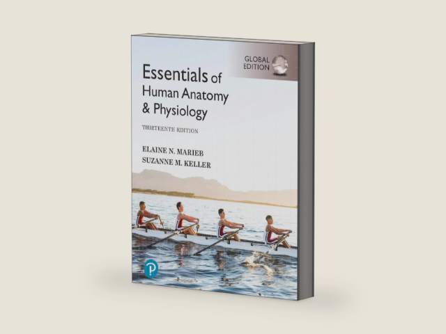 Essentials of Human Anatomy & Physiology [Global Edition] by Elaine Marieb | barcode:9781292401942 | source:'9781292401942-right-three-quarter.jpg