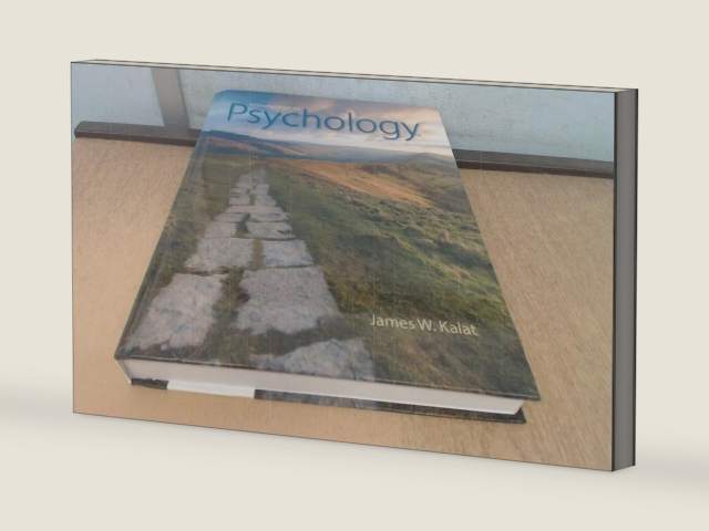 Introduction to Psychology (MindTap Course List) by James W. Kalat | barcode:9781305271555 | source:'9781305271555-right-three-quarter.jpg