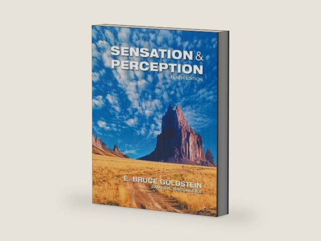 Sensation and Perception by E. Bruce Goldstein | barcode:9781305580299 | source:'9781305580299-right-three-quarter.jpg