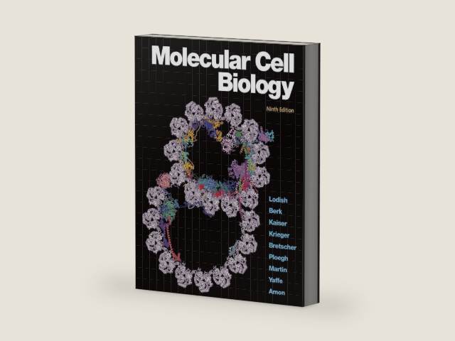 Molecular Cell Biology (842581) by Harvey Lodish | barcode:9781319208523 | source:'9781319208523-right-three-quarter.jpg