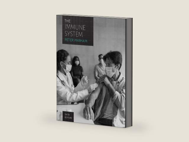 The Immune System by Peter Parham | barcode:9781324104766 | source:'9781324104766-right-three-quarter.jpg