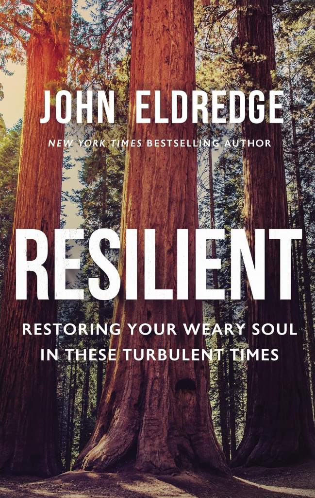Resilient: Restoring Your Weary Soul in These Turbulent Times by John Eldredge | barcode:9781400208647 | source:'9781400208647.jpg