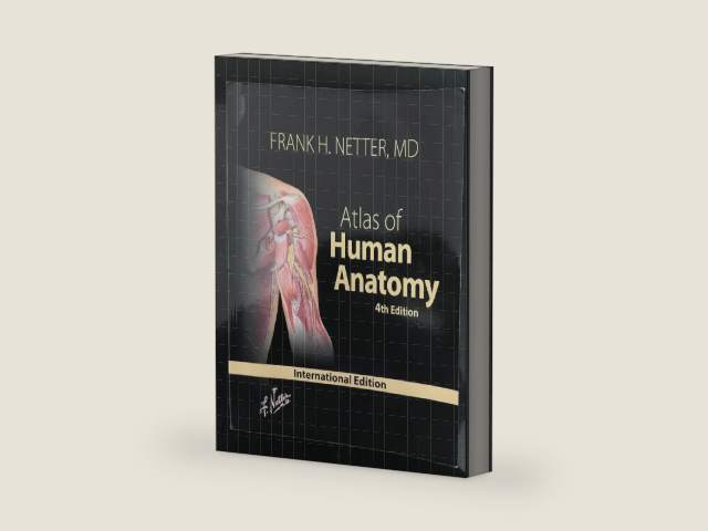 Atlas of Human Anatomy, 4th Edition by Frank H. Netter MD | barcode:9781416033851 | source:'9781416033851-right-three-quarter.jpg