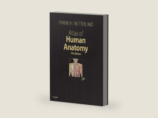 Atlas of Human Anatomy, 4th Edition by Frank H. Netter MD | barcode:9781416036999 | source:'9781416036999-right-three-quarter.jpg