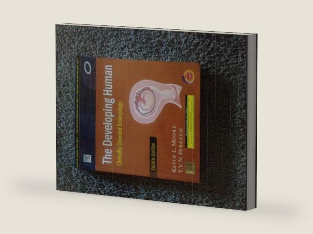 The Developing Human: Clinically Oriented Embryology, 8th Edition by Keith L. Moore | barcode:9781416037064 | source:'9781416037064-right-three-quarter.jpg